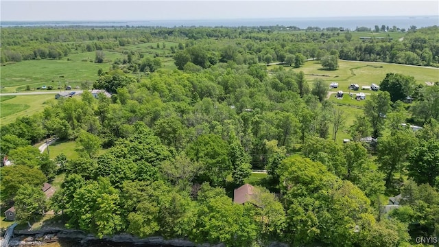 4859 Becker Ln, Lyme, NY 13693 - aerial view of property and surrounding area