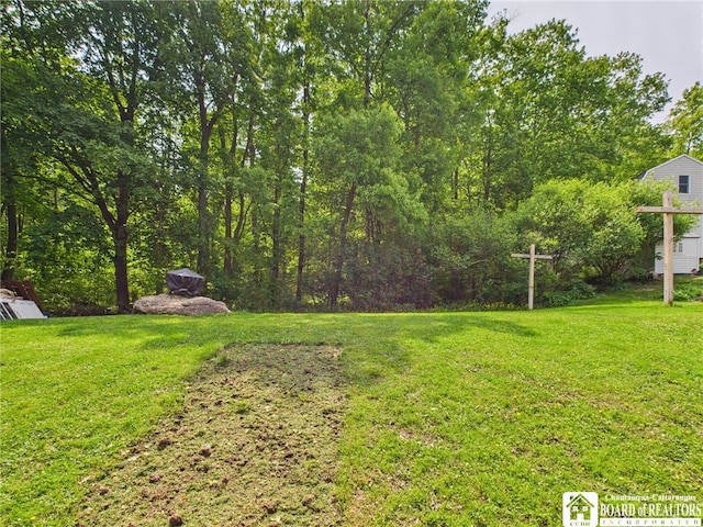 32 Parkview Ave, Bradford-City, PA 16701 - view of green lawn