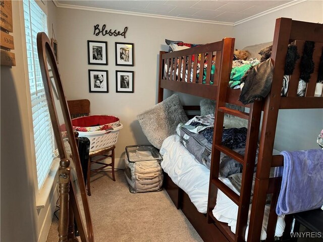 130 S 6th St, Olean-City, NY 14760 - bedroom featuring carpet, ornamental molding, and multiple windows