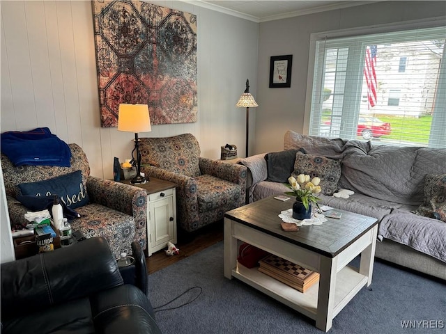 130 S 6th St, Olean-City, NY 14760 - living room with ornamental molding