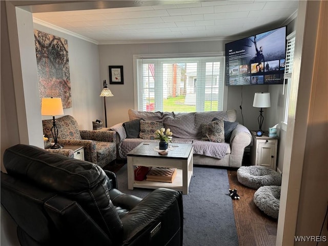 130 S 6th St, Olean-City, NY 14760 - living room featuring crown molding and carpet flooring