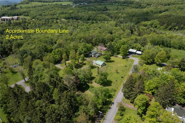 8 Van Dyke Ave, Harpersfield, NY 12167 - photo 34