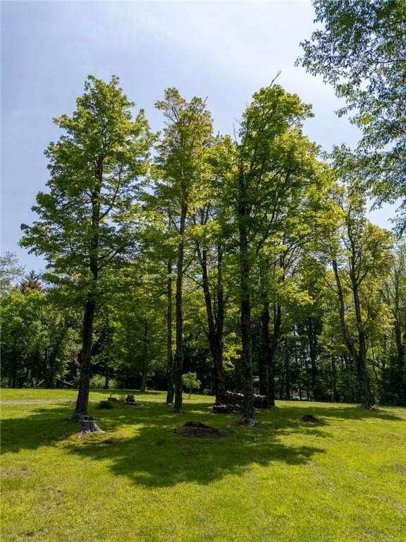 8 Van Dyke Ave, Harpersfield, NY 12167 - photo 36