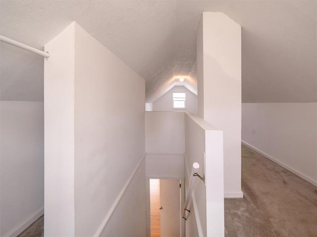 257 Longridge Ave, Greece, NY 14616 - stairway with lofted ceiling, a textured ceiling, baseboards, and carpet floors
