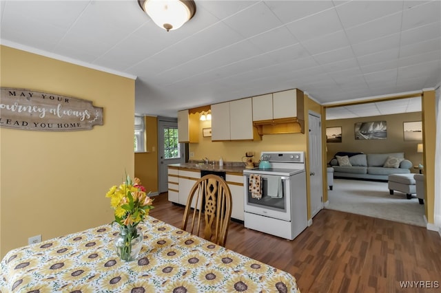7228 Rapids Rd, Lockport-Town, NY 14094 - kitchen featuring white electric range, dark wood-style flooring, white cabinets, a sink, and crown molding
