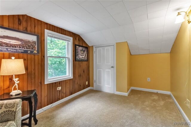 7228 Rapids Rd, Lockport-Town, NY 14094 - additional living space with vaulted ceiling, wooden walls, carpet flooring, and baseboards