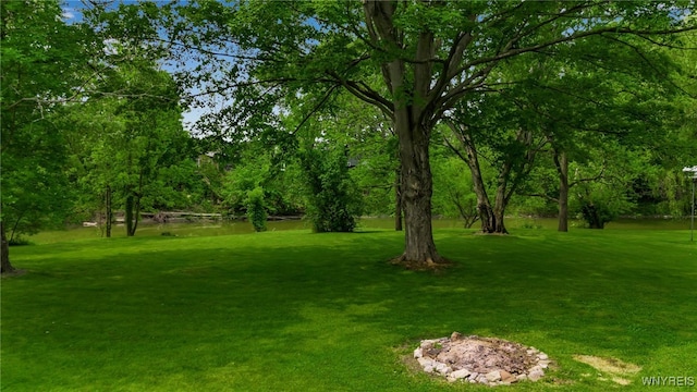 7228 Rapids Rd, Lockport-Town, NY 14094 - view of green lawn