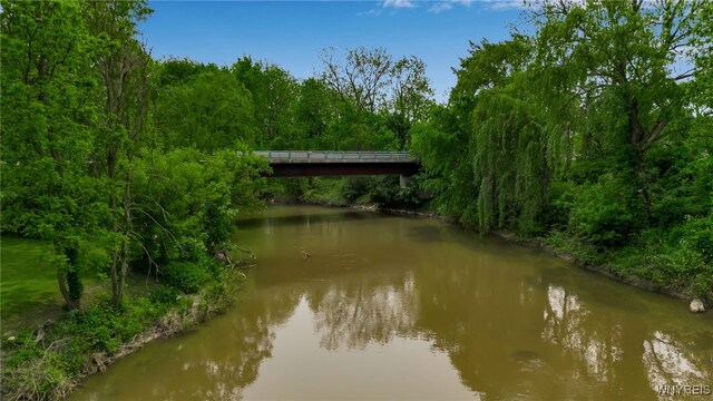 7228 Rapids Rd, Lockport-Town, NY 14094 - water view with a forest