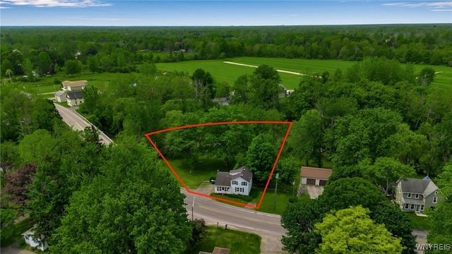 7228 Rapids Rd, Lockport-Town, NY 14094 - aerial view of property's location with a forest and property boundaries highlighted