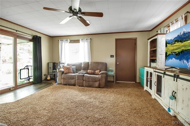 850 Page Ave, Lewiston, NY 14092 - photo 15