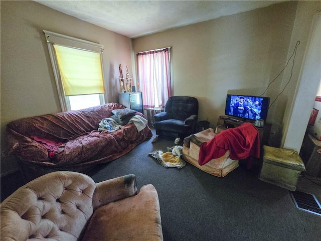 40 Grover St, Rochester, NY 14611 - view of carpeted living room
