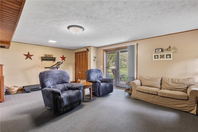 2203 State Route 14 N, Lyons, NY 14489 - living room with carpet and a textured ceiling