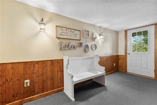 2203 State Route 14 N, Lyons, NY 14489 - living area featuring a wainscoted wall, a textured ceiling, carpet floors, and wooden walls