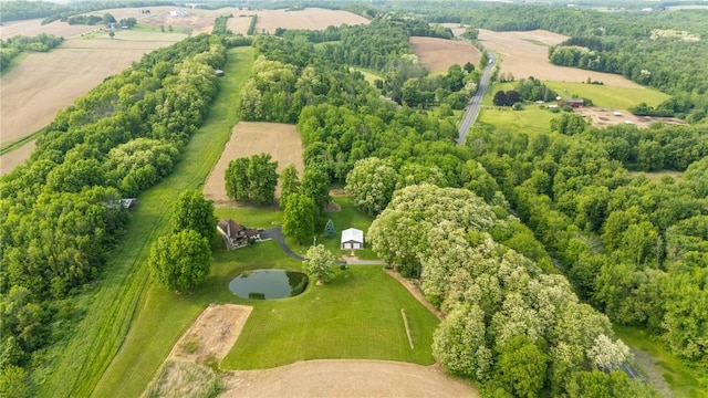 2203 State Route 14 N, Lyons, NY 14489 - aerial view