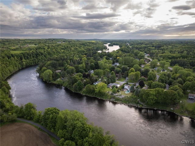 22415 Riverbend Dr E, Le Ray, NY 13601 - photo 43