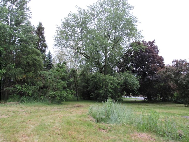 3829 Kearney Rd, Gorham, NY 14561 - photo 16