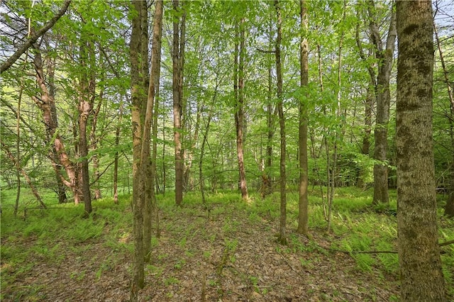 L22.22 Mud Rd, Laurens, NY 13825