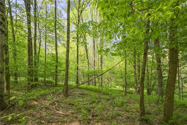 L22.22 Mud Rd, Laurens, NY 13825