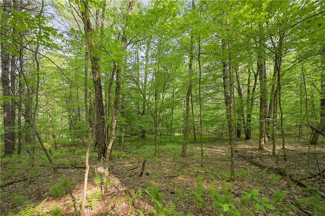 L22.22 Mud Rd, Laurens, NY 13825