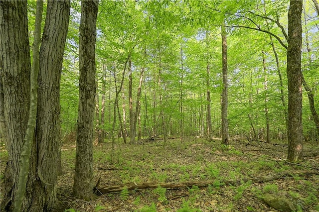 L22.22 Mud Rd, Laurens, NY 13825