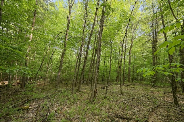 L22.22 Mud Rd, Laurens, NY 13825