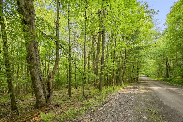 L22.22 Mud Rd, Laurens, NY 13825