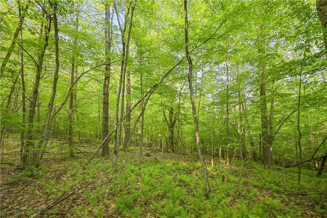 L22.22 Mud Rd, Laurens, NY 13825