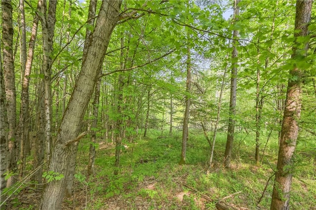 L22.22 Mud Rd, Laurens, NY 13825