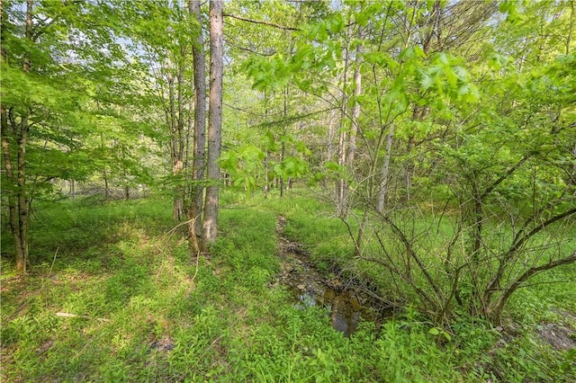 L22.22 Mud Rd, Laurens, NY 13825
