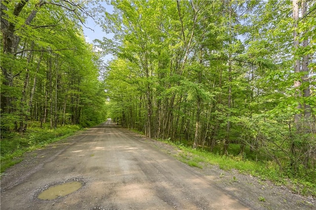 L22.22 Mud Rd, Laurens, NY 13825