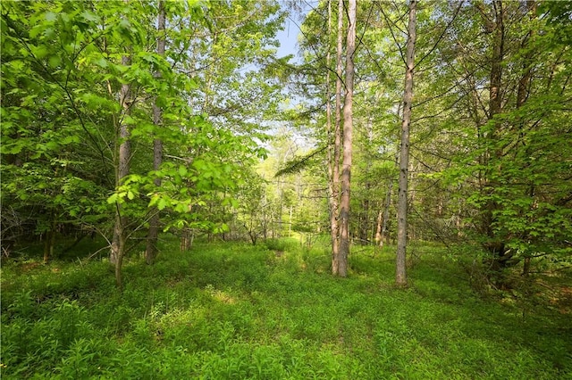 L22.22 Mud Rd, Laurens, NY 13825