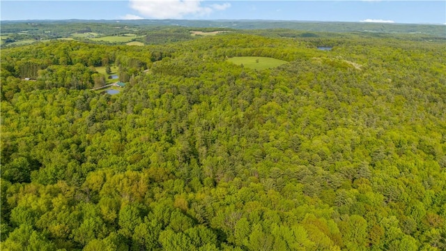 L22.22 Mud Rd, Laurens, NY 13825