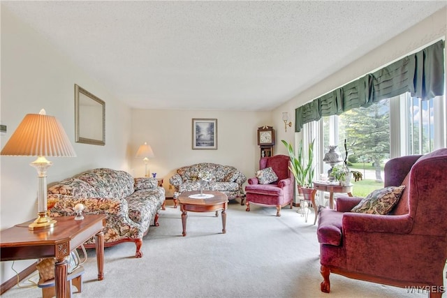 1 Woodstream Dr, Lancaster, NY 14086 - carpeted living area featuring a textured ceiling