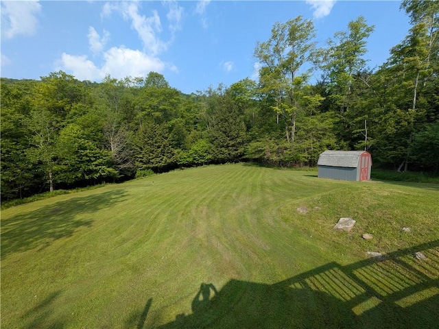 135 Hedgehog Ln, Bradford Town, PA 16701 - view of grassy yard with a forest view