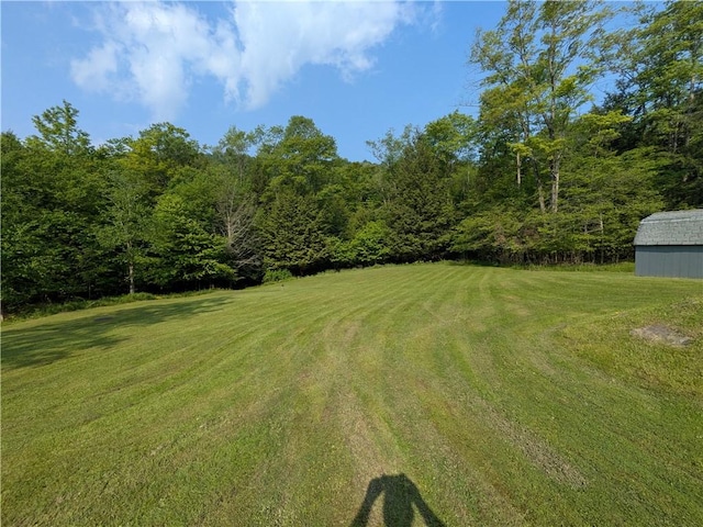 135 Hedgehog Ln, Bradford Town, PA 16701 - view of grassy yard