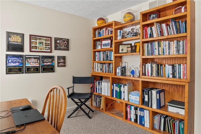 439 Red Apple Ln, Greece, NY 14612 - home office featuring carpet and a textured ceiling