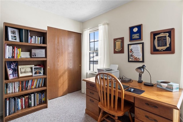 439 Red Apple Ln, Greece, NY 14612 - carpeted office space with a textured ceiling