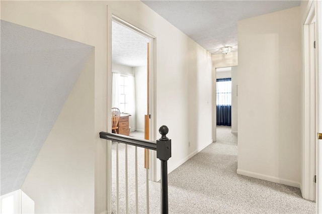 439 Red Apple Ln, Greece, NY 14612 - hall featuring carpet, plenty of natural light, and baseboards