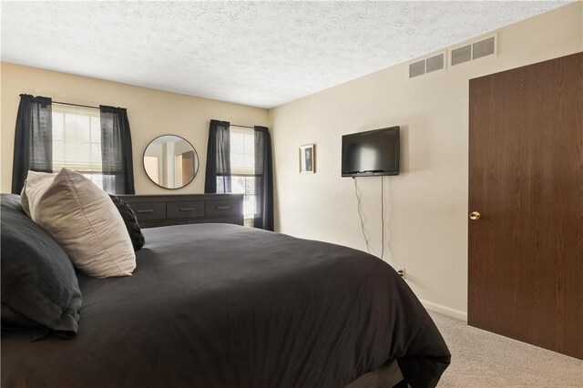 439 Red Apple Ln, Greece, NY 14612 - bedroom featuring carpet flooring, multiple windows, a textured ceiling, and baseboards