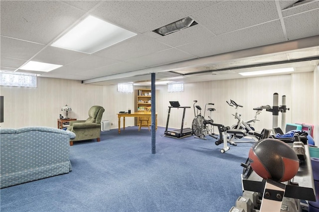439 Red Apple Ln, Greece, NY 14612 - workout room with a drop ceiling and carpet flooring