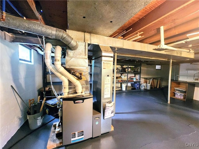 70 W Elizabeth St, Skaneateles, NY 13152 - view of basement