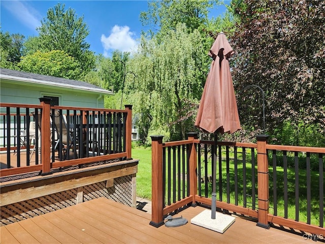 70 W Elizabeth St, Skaneateles, NY 13152 - view of wooden deck