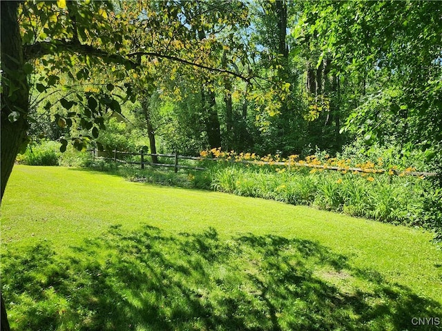 70 W Elizabeth St, Skaneateles, NY 13152 - view of yard