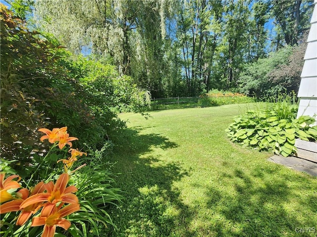 70 W Elizabeth St, Skaneateles, NY 13152 - view of green lawn