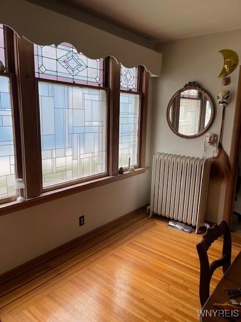 50 Gualbert Ave, Cheektowaga, NY 14211 - empty room featuring radiator, healthy amount of natural light, and light wood finished floors