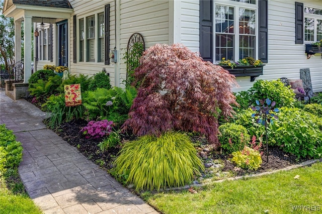 8431 W Rivershore Dr, Niagara Falls, NY 14304 - view of property exterior
