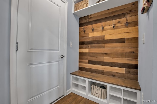 123 Stonebridge Rd, Grand Island, NY 14072 - mudroom featuring wood walls, a relaxing sauna, and dark wood-type flooring