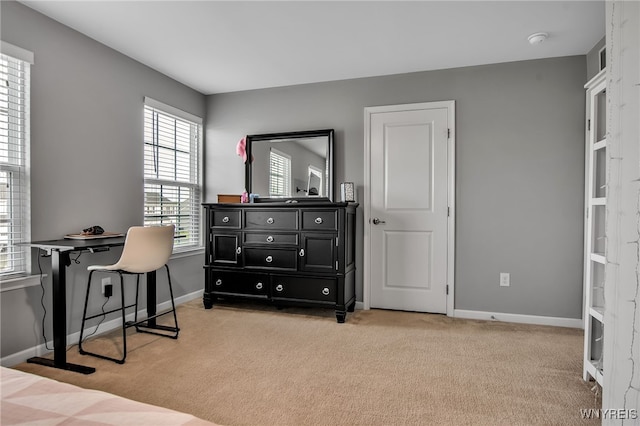 123 Stonebridge Rd, Grand Island, NY 14072 - bedroom with light carpet, multiple windows, and baseboards
