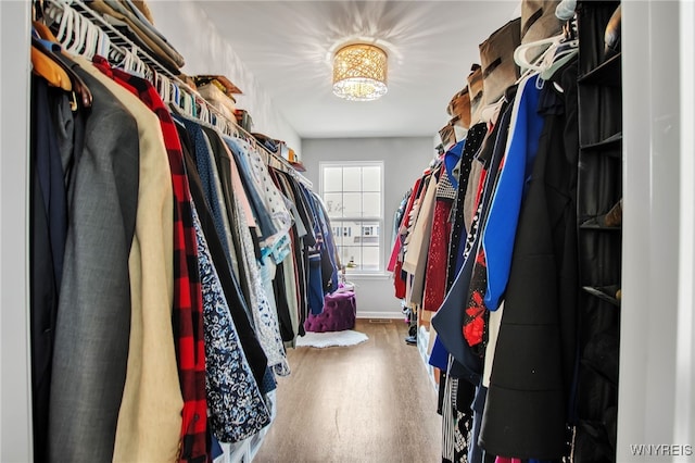 123 Stonebridge Rd, Grand Island, NY 14072 - walk in closet with wood finished floors