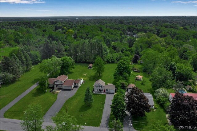 4987 Kraus Rd, Clarence, NY 14031 - photo 44